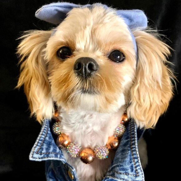 Rosey (11", 13") - Pet Necklace - Pet Accessories - Picture 1 of 4